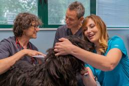 studio veterinario ancona carletti blasetti pignotti
